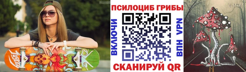 Галлюциногенные грибы Psilocybe  Инза 